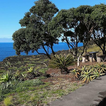マダレナ Casa D'Avo Franciscoゲストハウス エクステリア 写真