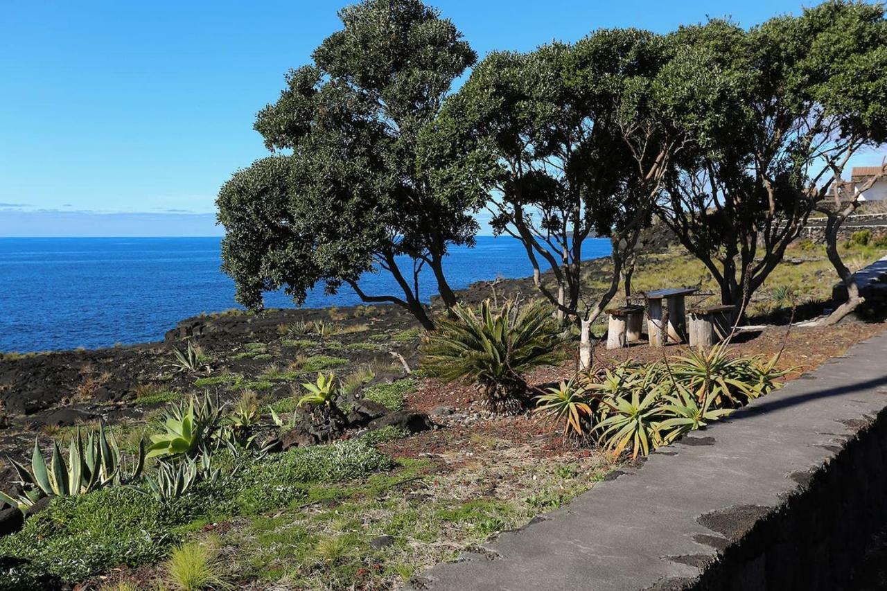 マダレナ Casa D'Avo Franciscoゲストハウス エクステリア 写真