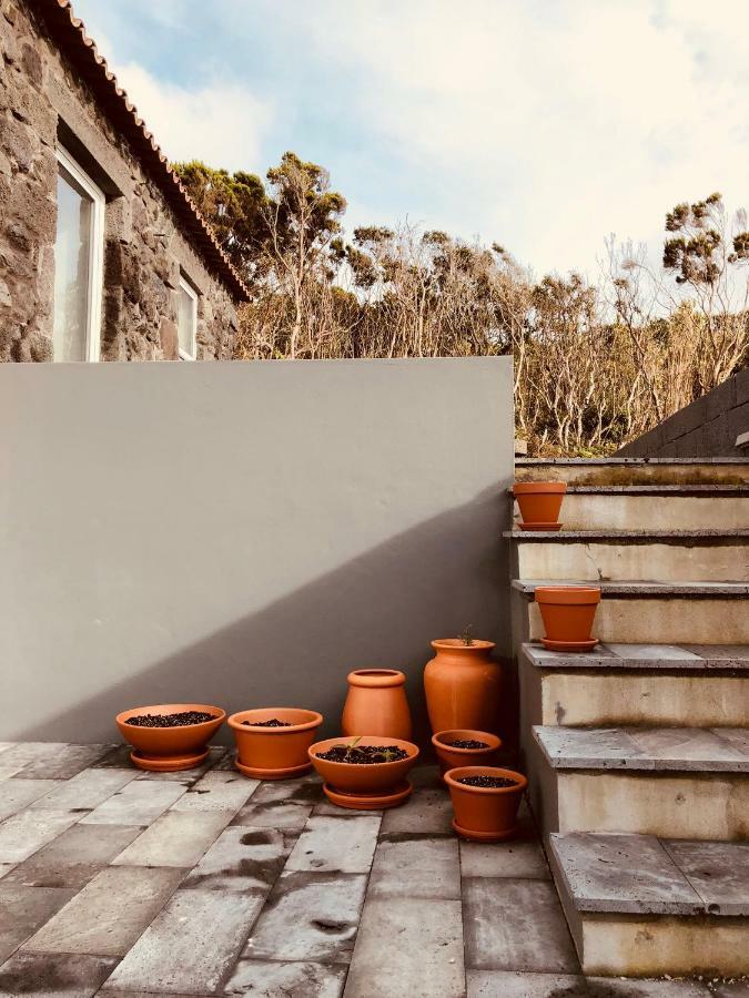 マダレナ Casa D'Avo Franciscoゲストハウス エクステリア 写真